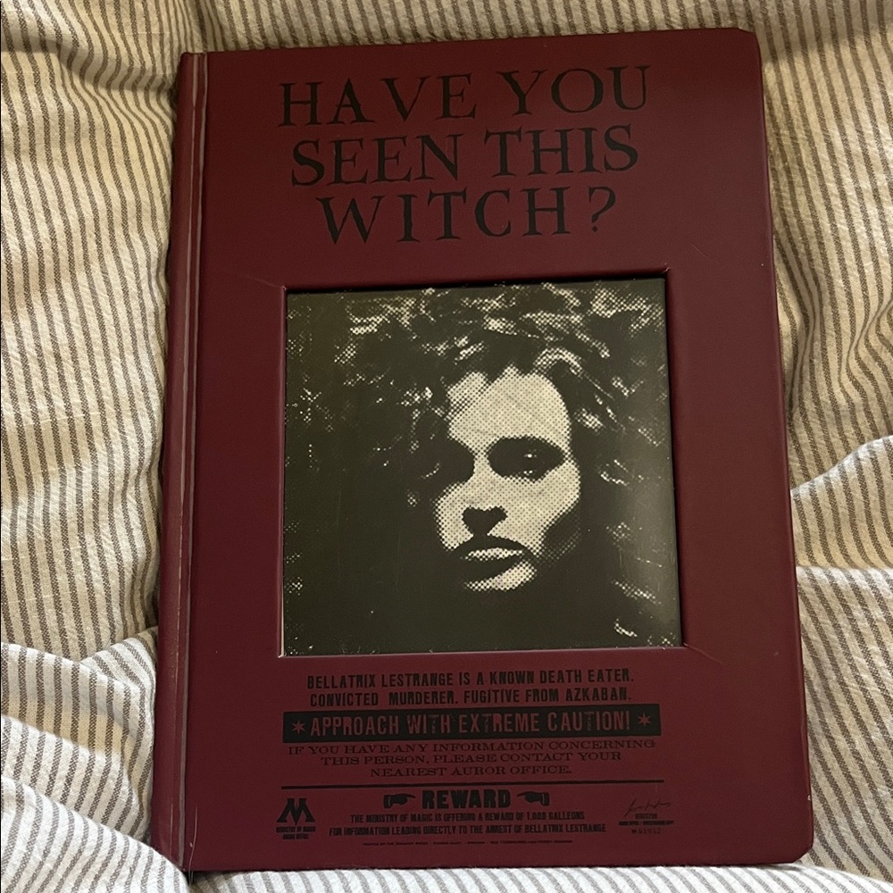Have You Seen This Witch? Bellatrix notebook